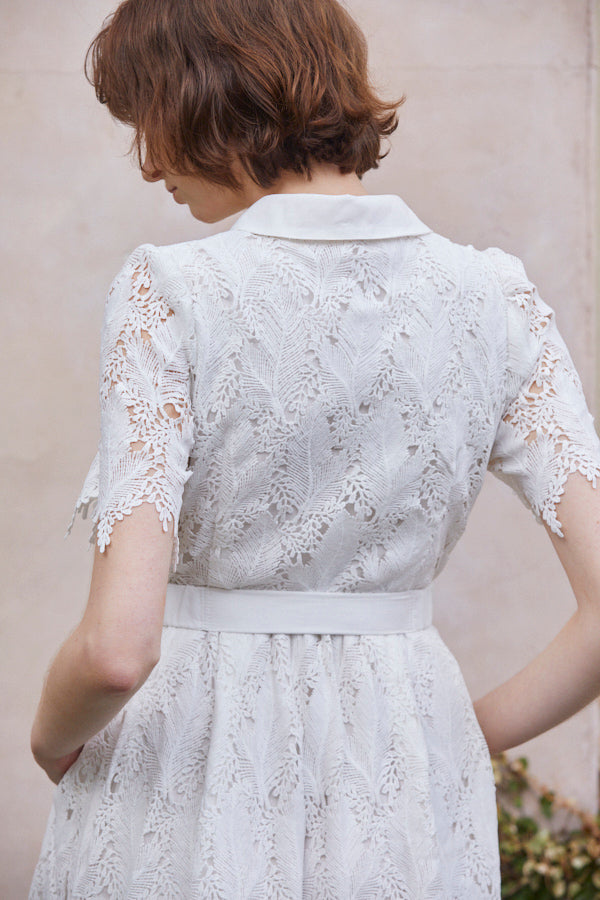 Charlotte Belted Lace Dress <br> -WHT-