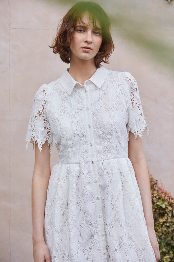 Charlotte Belted Lace Dress <br> -WHT-