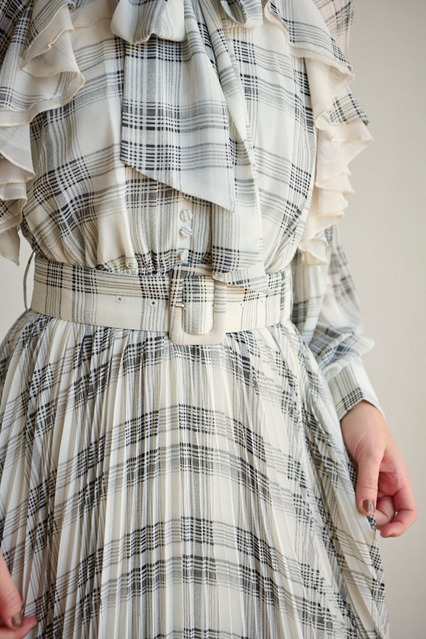 Aurelia Pleated Dress <br>  -WHT check-